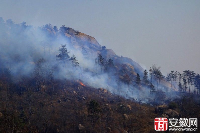 安庆大龙山森林大火【组图】