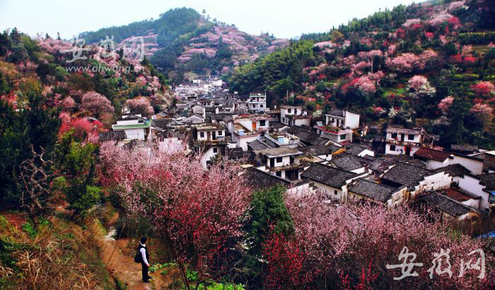 歙县卖花渔村黄山在线讯  近日,住房和城乡建设部等五部门联合公布了