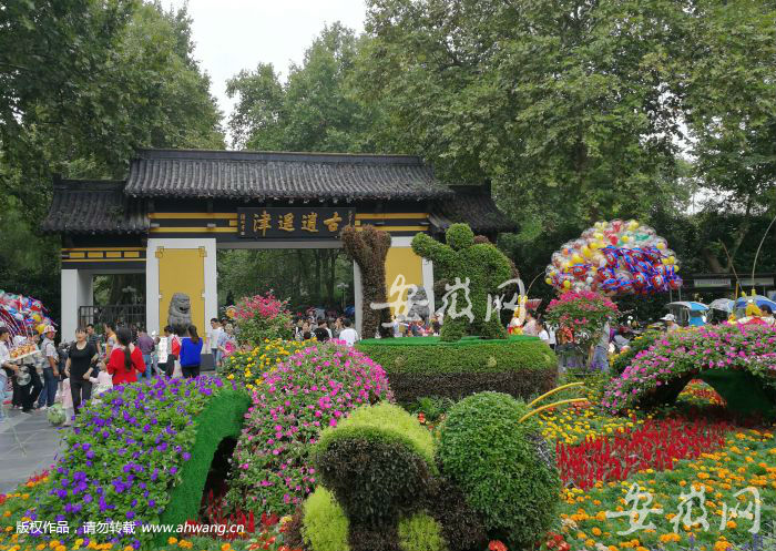色彩斑斓的花坛装扮一新。