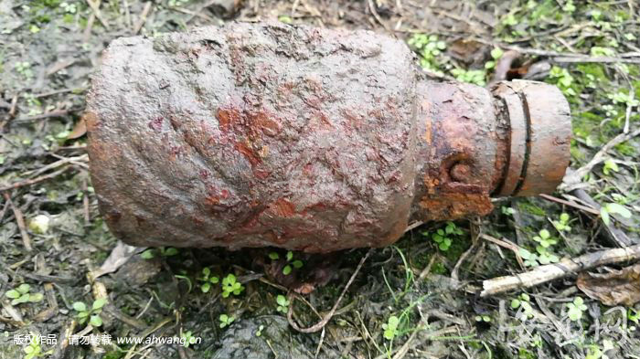 铜陵一鱼塘惊现生锈手雷 排爆队赶往消除隐患