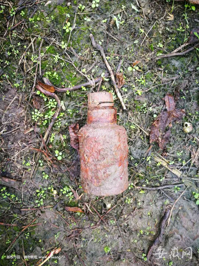 铜陵一鱼塘惊现生锈手雷 排爆队赶往消除隐患