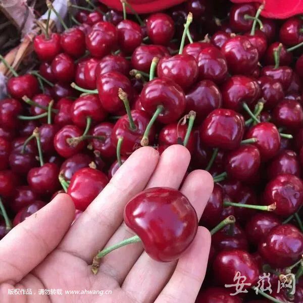 QQ圖片20180111083344