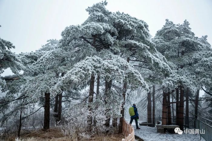 受低溫雨雪影響 黃山風(fēng)景區(qū)臨時封閉