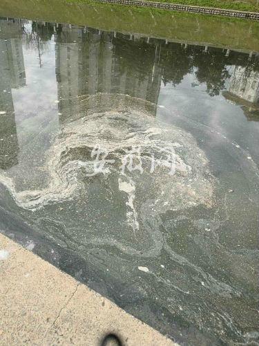 1519689071250