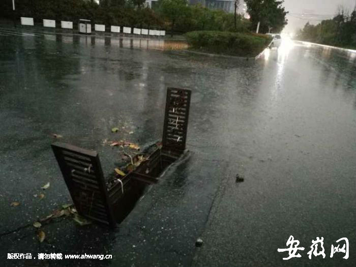 多條道路窨井全打開緊急排水