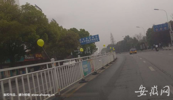 道路中間的隔離欄上掛了很多黃色氣球。