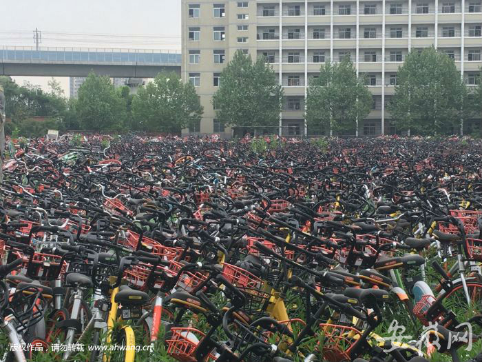 合肥被扣共享单车存放点探访：大部分已归还