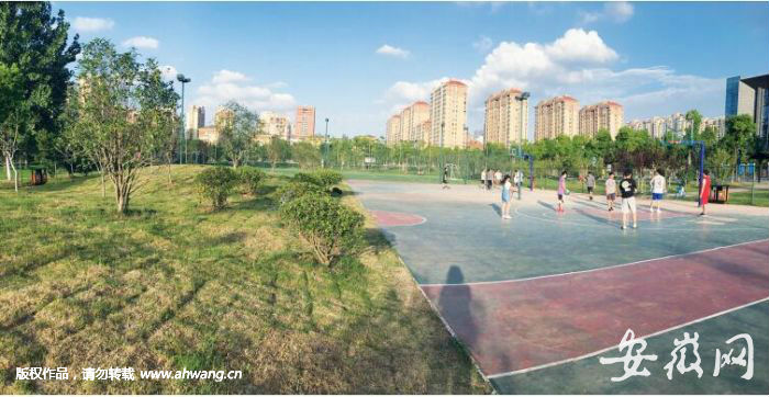 三個籃球場被復綠一半場地。