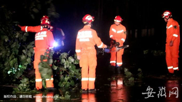 “摩羯”过境吹倒数棵大树 砀山消防雨夜驰援