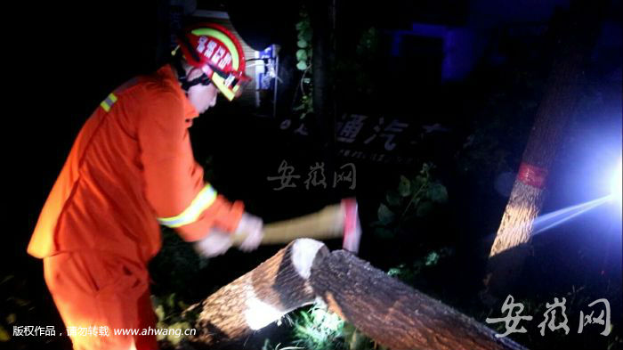 “摩羯”过境吹倒数棵大树 砀山消防雨夜驰援