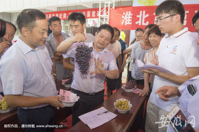 QQ图片20180808163233
