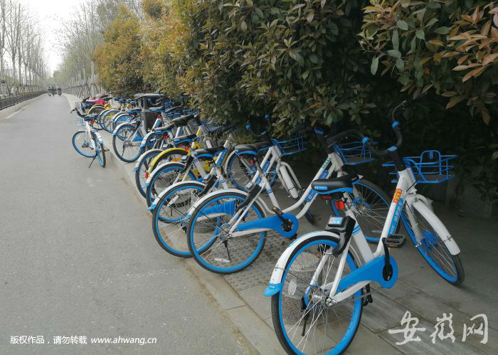 隨意停放的共享單車已經(jīng)影響到了城市秩序。
