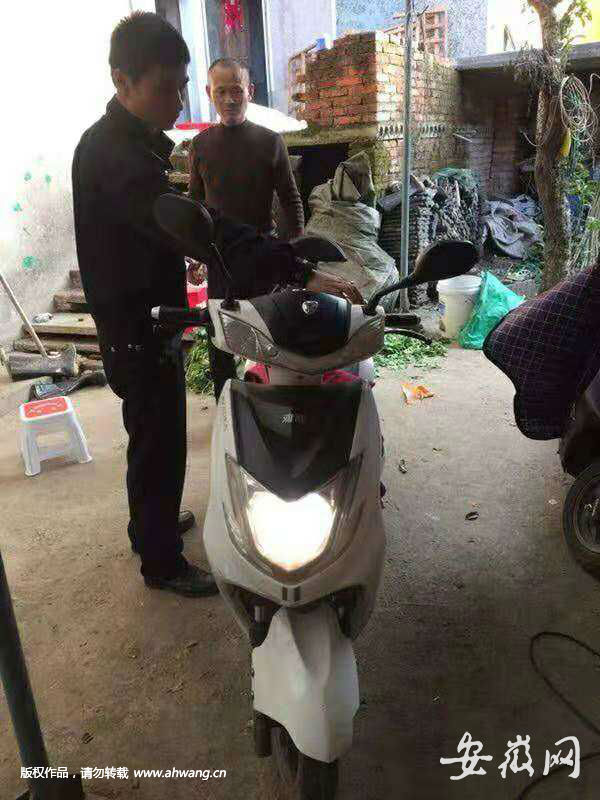 肇事車輛