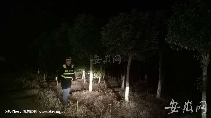 城管组建夜巡队，严打违法建设 (2)