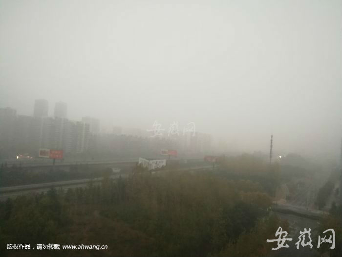 QQ圖片20181121205045