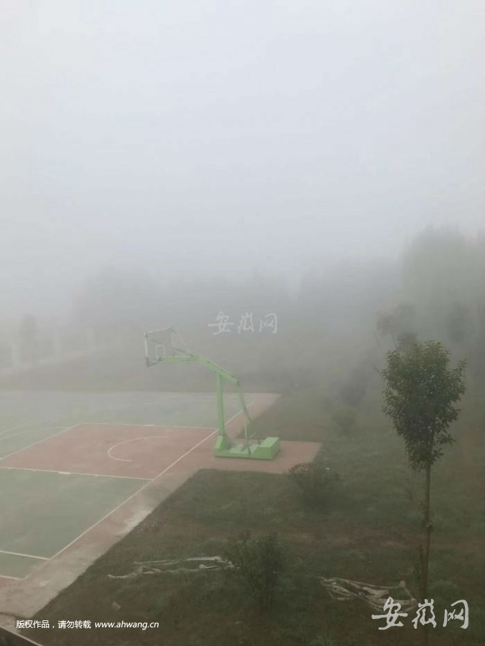 TIM图片20181112083007