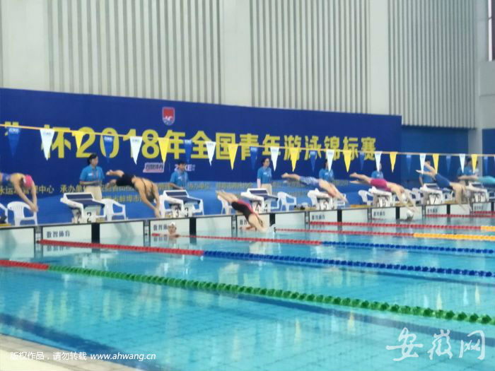2018全國(guó)青年游泳錦標(biāo)賽在蚌埠舉行