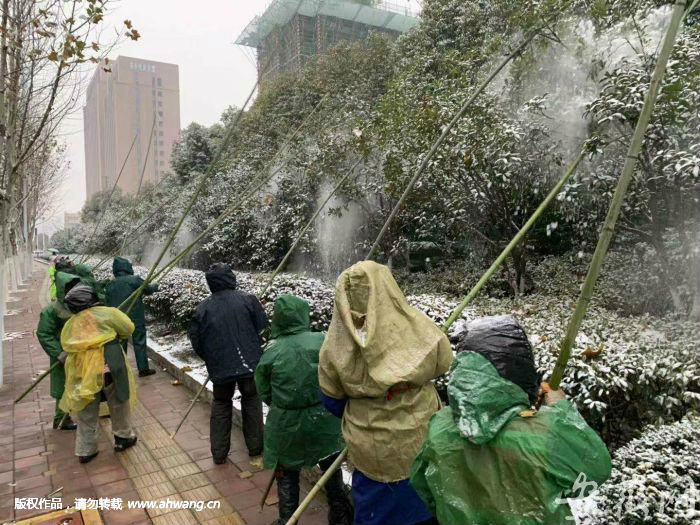 工人采用竹竿敲打积雪