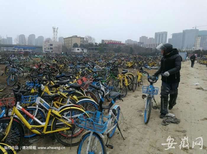 合肥共享單車“墳場”大火 現場觸目驚心