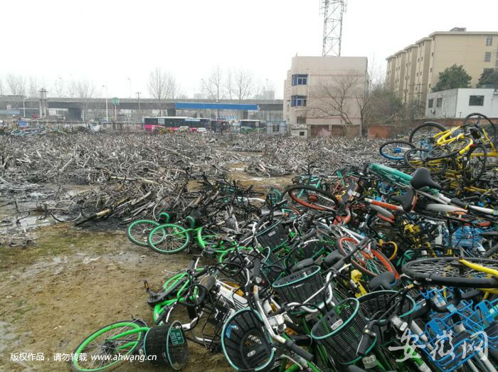 合肥共享單車“墳場”大火 現場觸目驚心