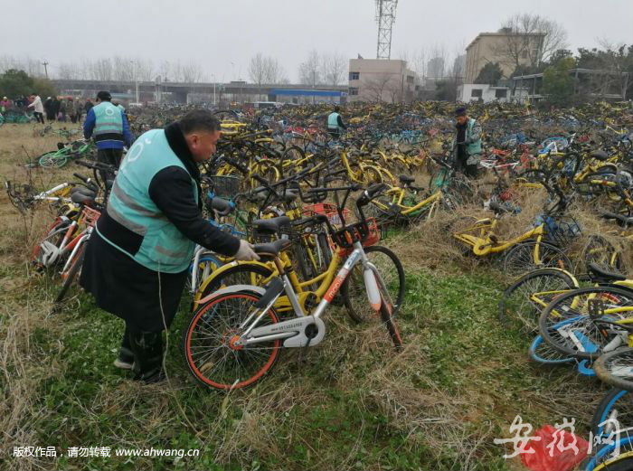 合肥共享單車“墳場”大火 現場觸目驚心