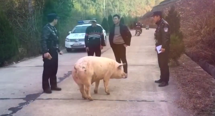 TIM图片20190129111907