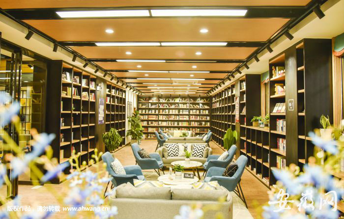 六小淘沙悅書房