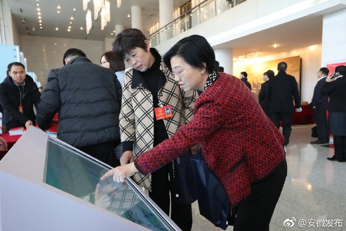 2019安徽兩會