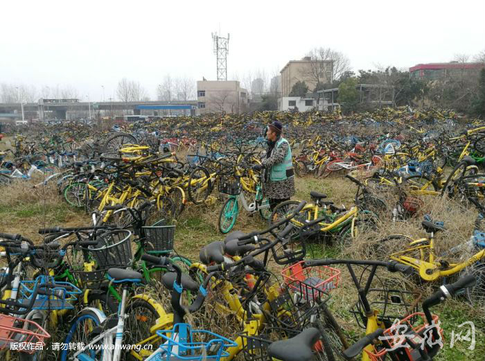 合肥共享單車“墳場”大火 現場觸目驚心