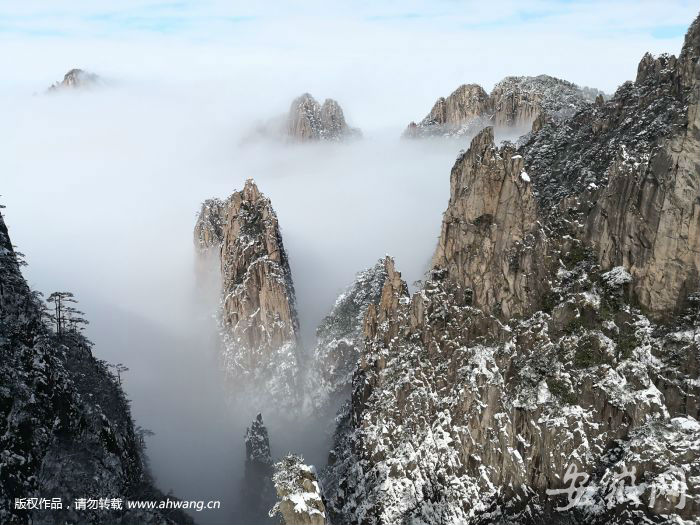 黄山雪景 杨绯