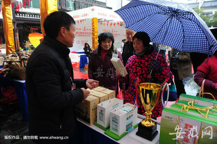 WCQ_8410