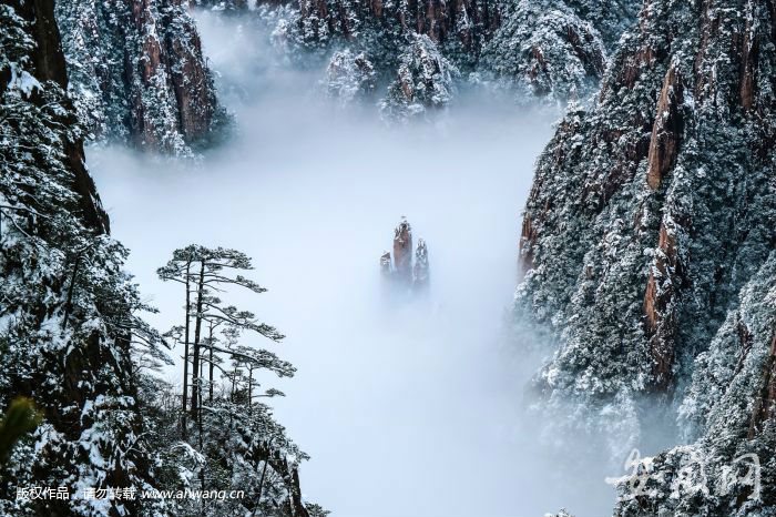 黄山雪景 李金刚