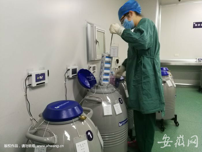 7，檢測合格的精子，<p>分裝后進行冷凍保存</p>