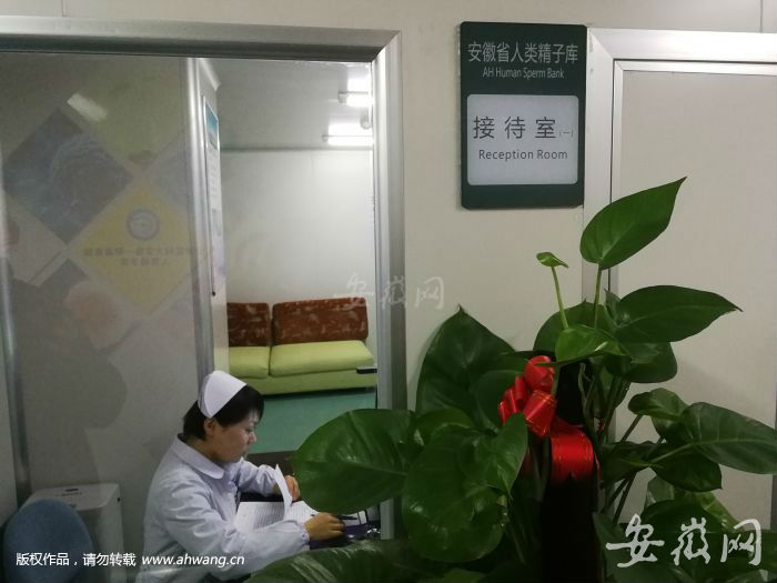 2 捐精者需要先進行洽談、體檢