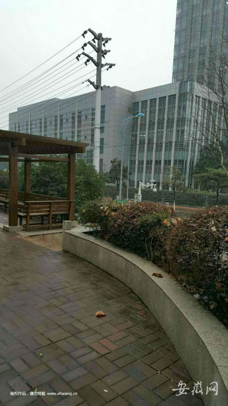 QQ图片20190203104647
