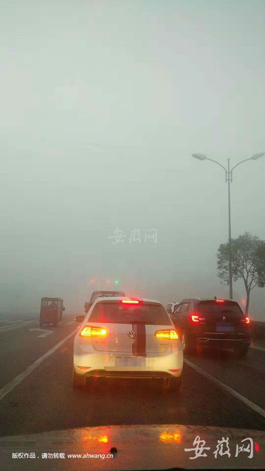 QQ图片20190223195336