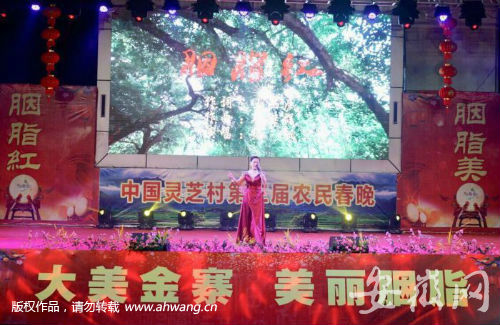 QQ圖片20190206200016