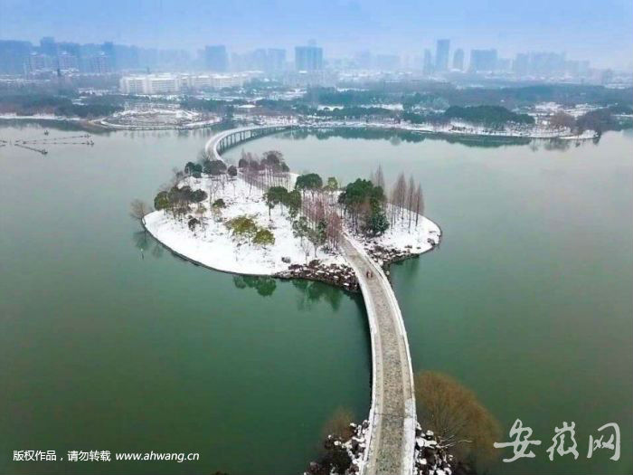 QQ图片20190223171551