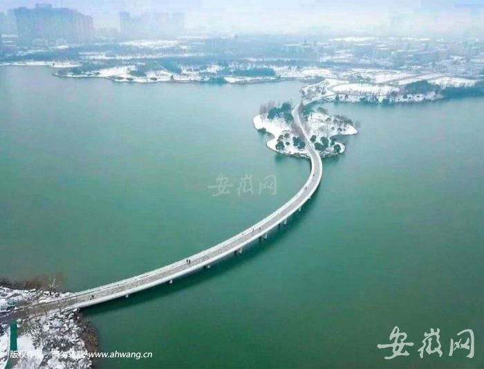 QQ图片20190223171554