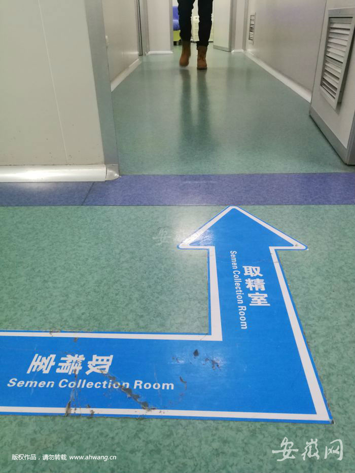 3 通往取精室的標志