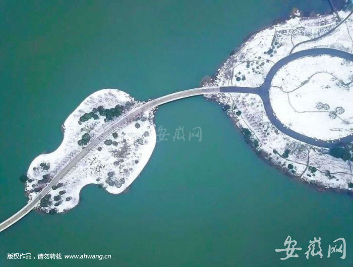 QQ图片20190223171547