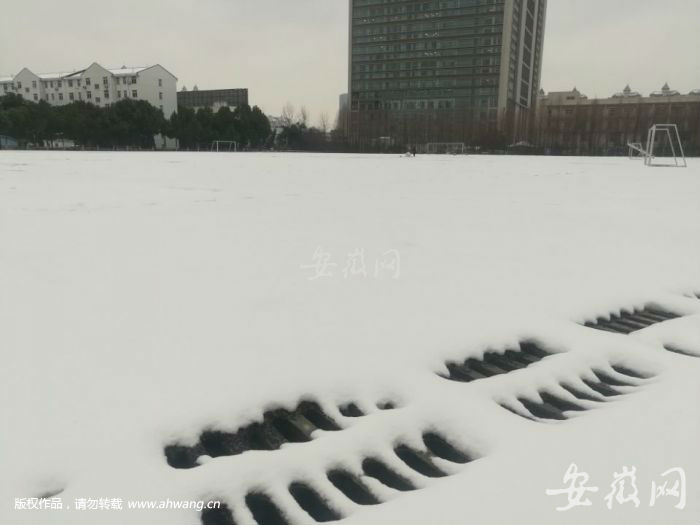 QQ圖片20190208171241