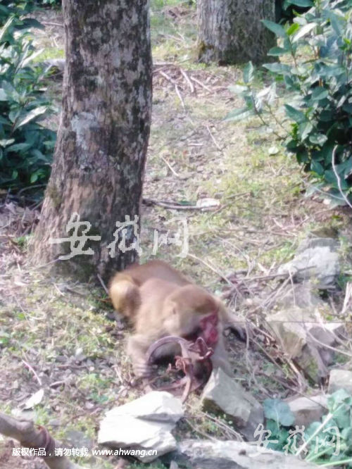 QQ圖片20190227142523