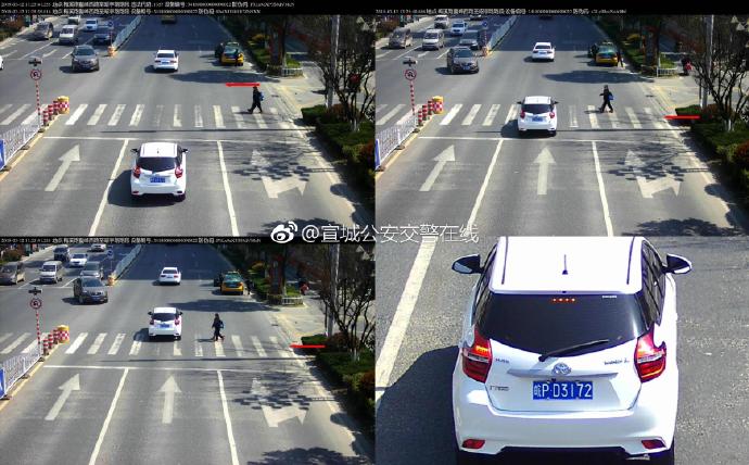宣城曝光不禮讓斑馬線車輛 車牌號清晰可見