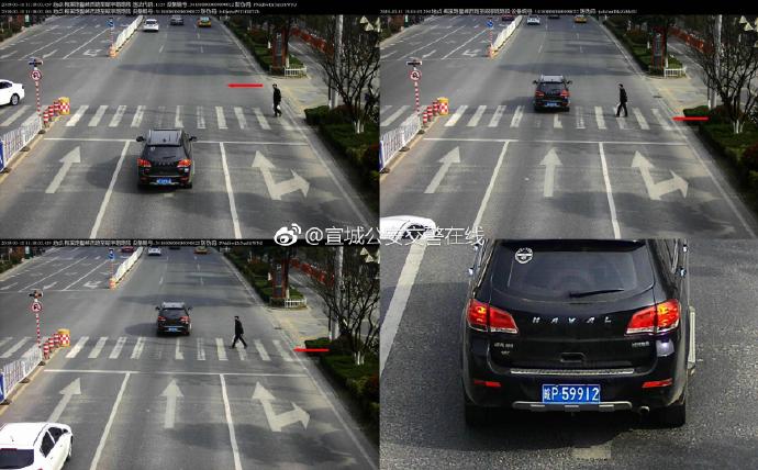 宣城曝光不禮讓斑馬線車輛 車牌號清晰可見