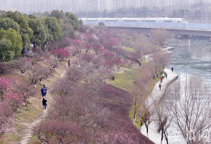 NDY_4492