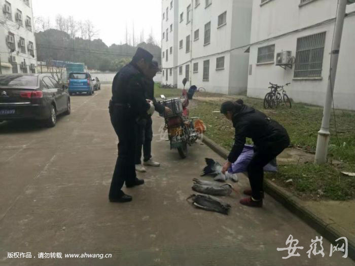 QQ圖片20190309192416