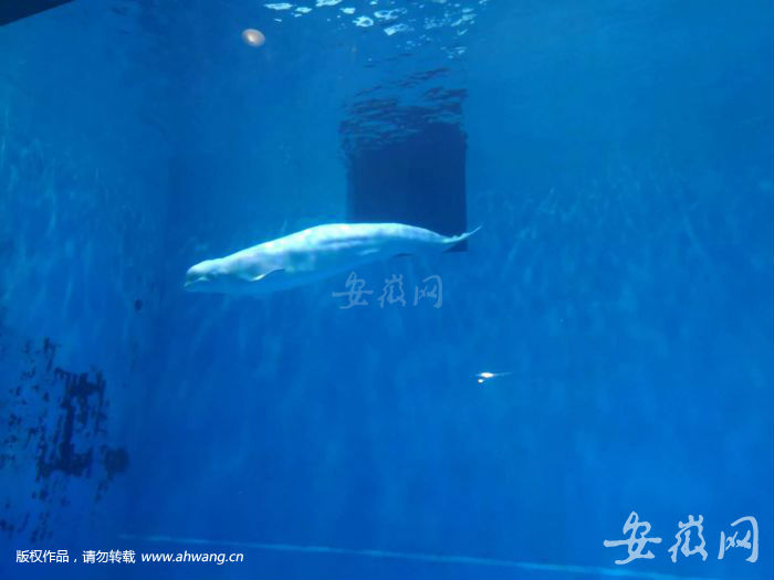 QQ圖片20190321153259