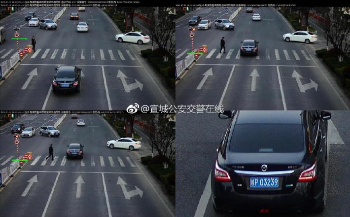 宣城曝光不禮讓斑馬線車輛 車牌號清晰可見