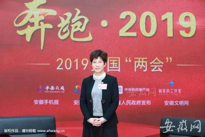 全国人大代表、合肥市市长凌云